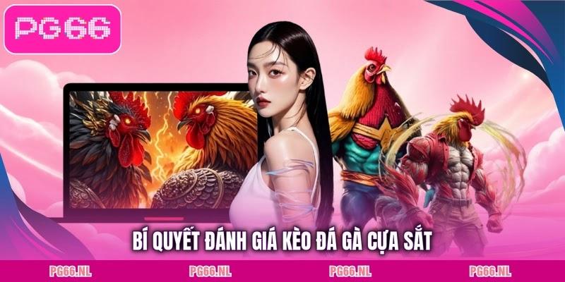 Bí quyết đánh giá kèo đá gà cựa sắt