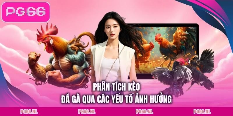 Phân tích kèo đá gà qua các yếu tố ảnh hưởng